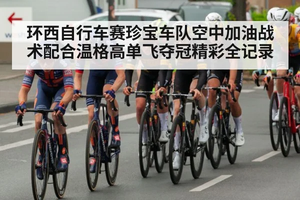 环西自行车赛珍宝车队空中加油战术配合温格高单飞夺冠精彩全记录